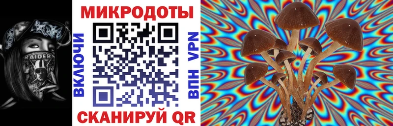 MEGA рабочий сайт  Билибино  мориарти официальный сайт  Псилоцибиновые грибы Magic Shrooms 
